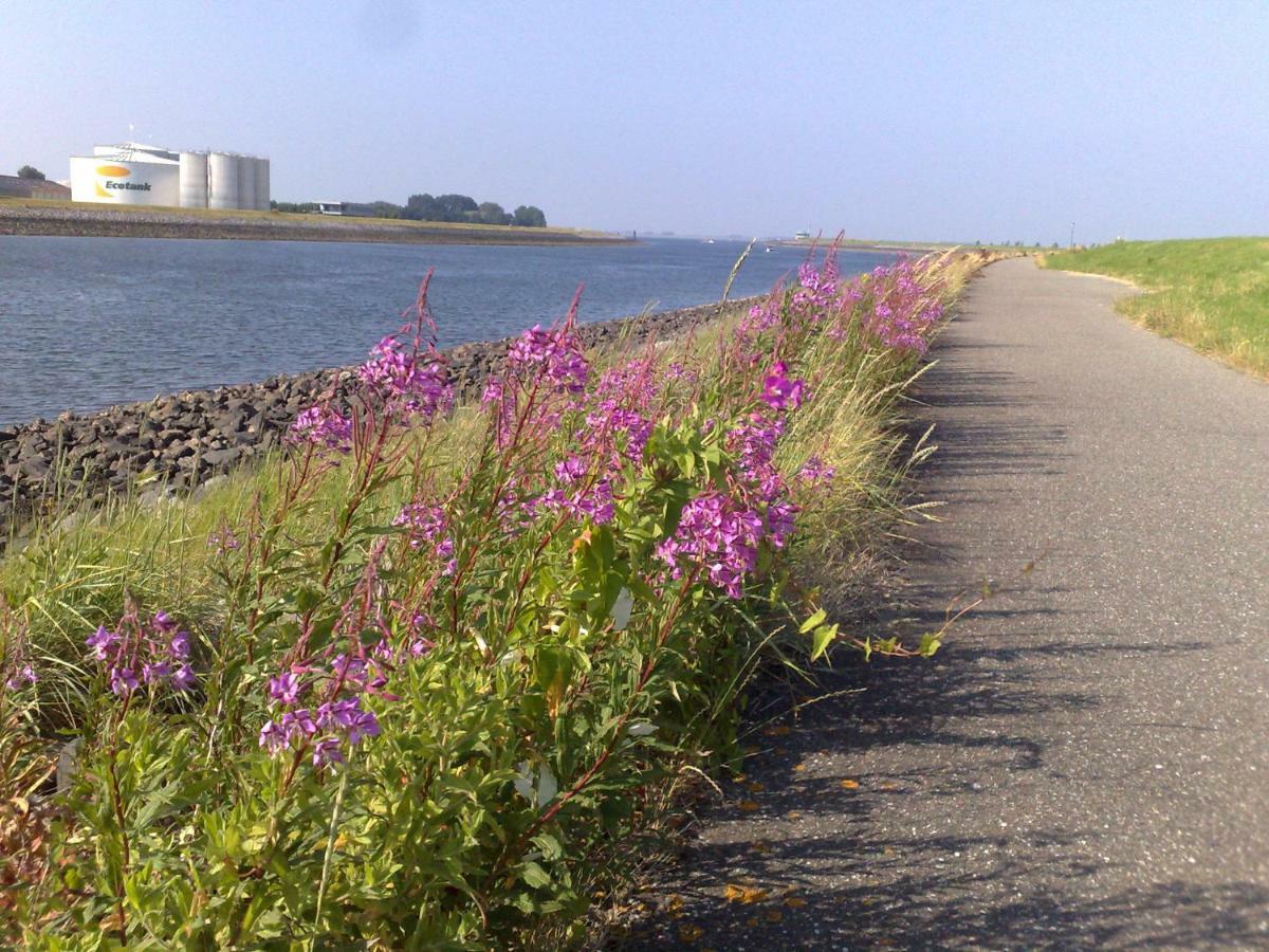 Middensluis Vakantiehuis ウェーメルディンゲ エクステリア 写真
